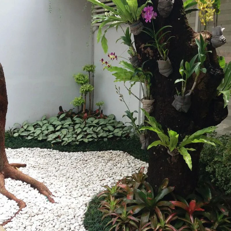 AI dalam pemeliharaan taman rumah: Transformasi Kebun Mini di Era Digital