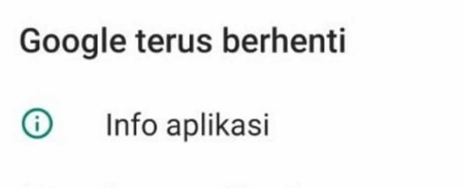 google terus berhenti setelah update: Apa Penyebabnya?