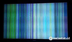 Layar TV Ada Bayangan: Analisis Penyebab, Solusi, dan Tips Praktis