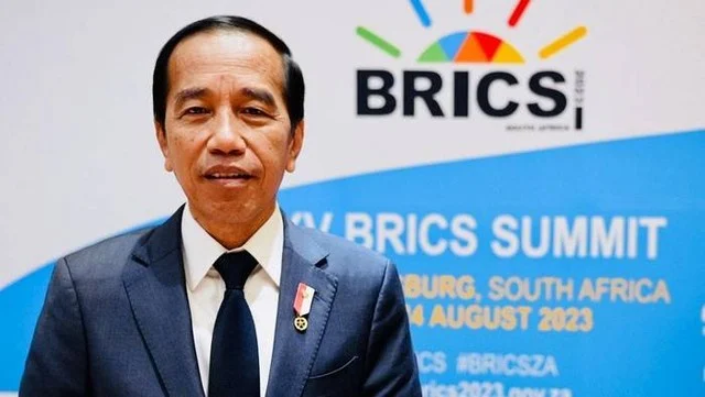 Afrika Selatan di Persimpangan: Dari Diplomasi BRICS hingga Persaingan Flamingo Antarbenua