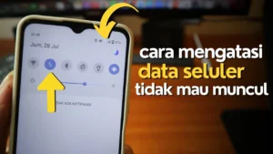 Data Seluler Hidup Tapi Tidak Ada Koneksi: Analisis Praktis dan Solusi
