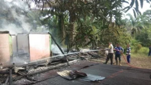Dua Rumah di Lebong, Bengkulu Hangus Terbakar: Diduga Korsleting Listrik Bikin Kerugian Rp150 Juta