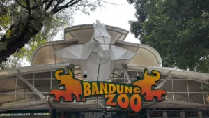 Krisis Bandung Zoo Memicu Rencana Relokasi Satwa ke Ragunan, Pemerintah Didorong Percepat Aksi