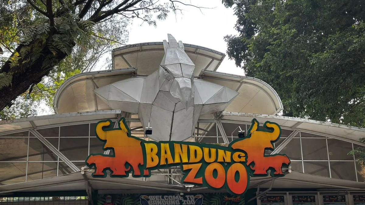 Krisis Bandung Zoo Memicu Rencana Relokasi Satwa ke Ragunan, Pemerintah Didorong Percepat Aksi