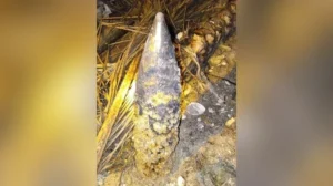 Nelayan Belitung Temukan 21,5 Kg Sabu di Pulau Ulat Bulu, Awalnya Diduga Gula Batu