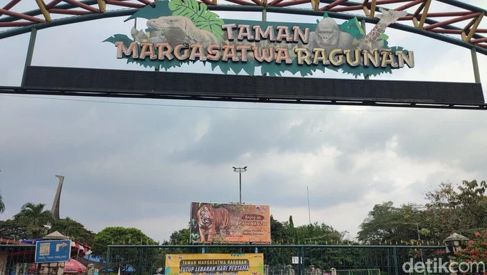 Ragunan Dibuka Kembali 22 Maret: Antisipasi Lebaran, Harga Tiket Murah, dan Ribuan Pengunjung Membanjiri Kebun Binatang