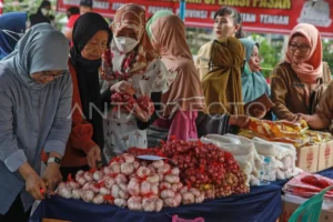 Seratus Ribu Kupon Lebaran: Pemerintah Gelar Pasar Murah dan Bazar UMKM di Monas untuk Stabilkan Harga Pangan
