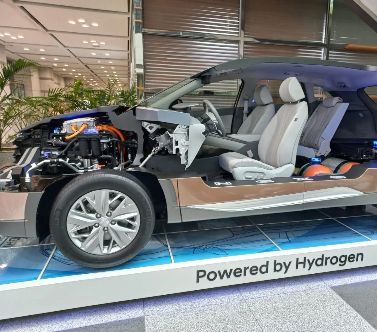 Dealer Jepang Berguguran, Persaingan Otomotif Timpang: Hyundai dan Toyota Siapkan Strategi, China Melesat