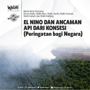 Hukum Tumpul Membiarkan Api Karhutla Berkobar: Ancaman Godzilla El Nino 2026 Mengintai Indonesia