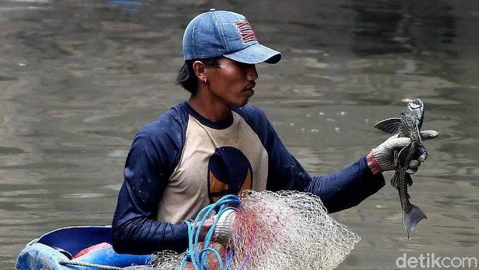Ikan Sapu‑Sapu Menguasai Sungai Jakarta: Pramono Anung Dukung Penangkapan Massal untuk Lindungi Ekosistem
