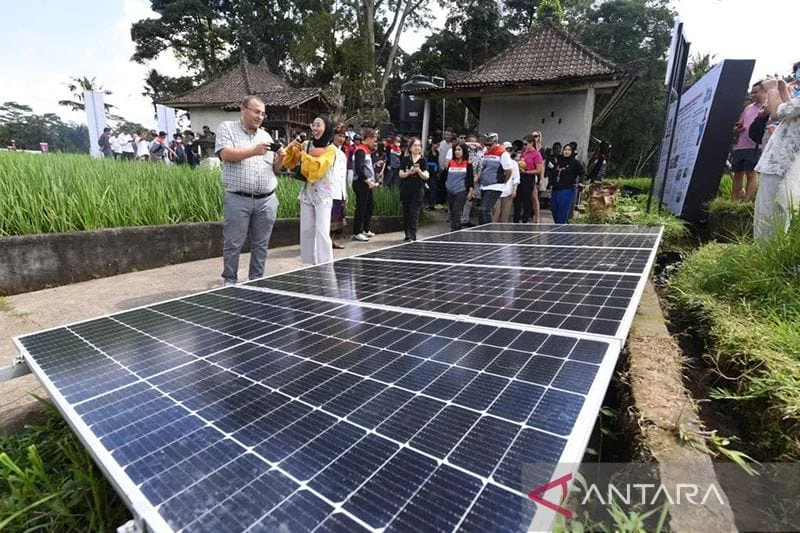 Ketimpangan Transisi Energi di Desa: Tantangan, Paradox Surya, dan Solusi Berbasis Komunitas