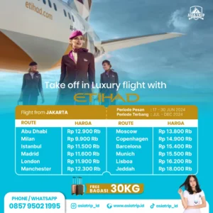 Lonjakan dan Penurunan Harga Tiket Pesawat: Dari Haji hingga Promo Etihad, Apa Dampaknya bagi Penumpang Indonesia?