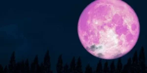 Malam Pink Moon April 2026: Fenomena Langka Memukau di Bumi dan Langkah Besar NASA Menuju Bulan