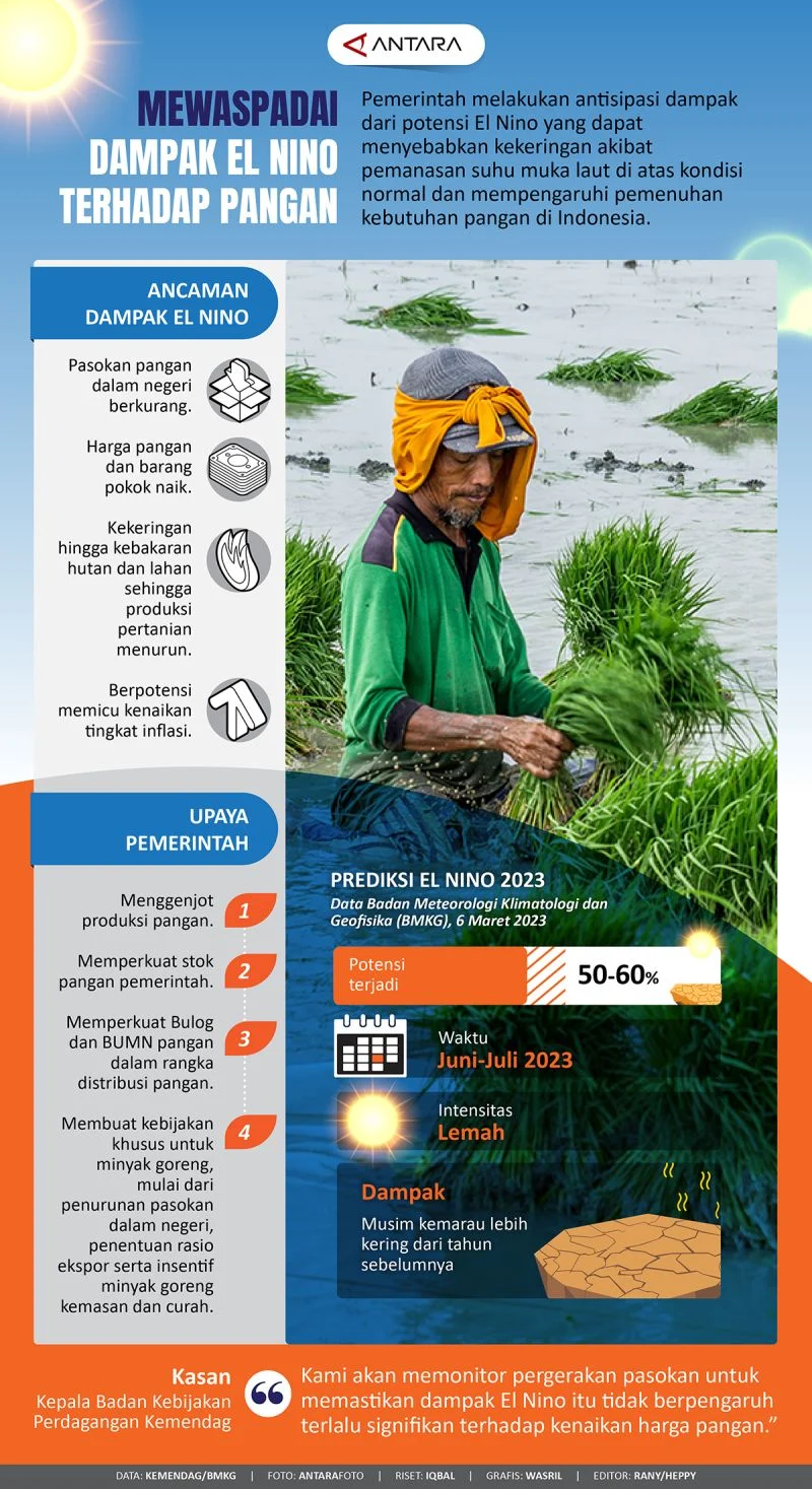 Mentan Amran Percepat 5 Strategi Kunci Jaga Swasembada Pangan Hadapi El Nino 2026