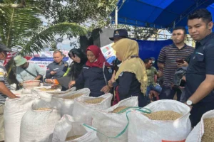 Mentan Kendalikan BUMN Pangan, Harga Minyak Mentah Melesat: Dampak Ganda pada Ketahanan Pangan dan Energi Indonesia