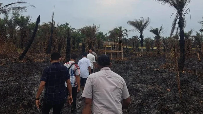 Misteri Dibalik Pembakaran Mantan di Bengkulu: Dari Kematian Tragis Hingga Tuduhan Penggelapan iPhone dan Surat Tanah