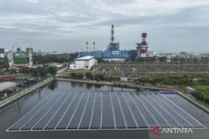 Penemuan Gas Eni di Indonesia Buka Jalan Baru bagi Energi Nasional
