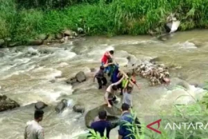 Penemuan Jasad Perempuan di Pinggir Sungai Cibinong Bikin Warga Gempar, Polisi Ungkap Fakta