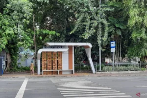 Zebra Cross Viral di Pancoran: Dinas Bina Marga DKI Rencanakan Revitalisasi Lengkap