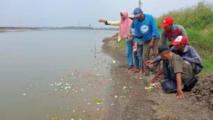 Dua Dekade Lumpur Lapindo: Luka Ekologis yang Belum Sembuh