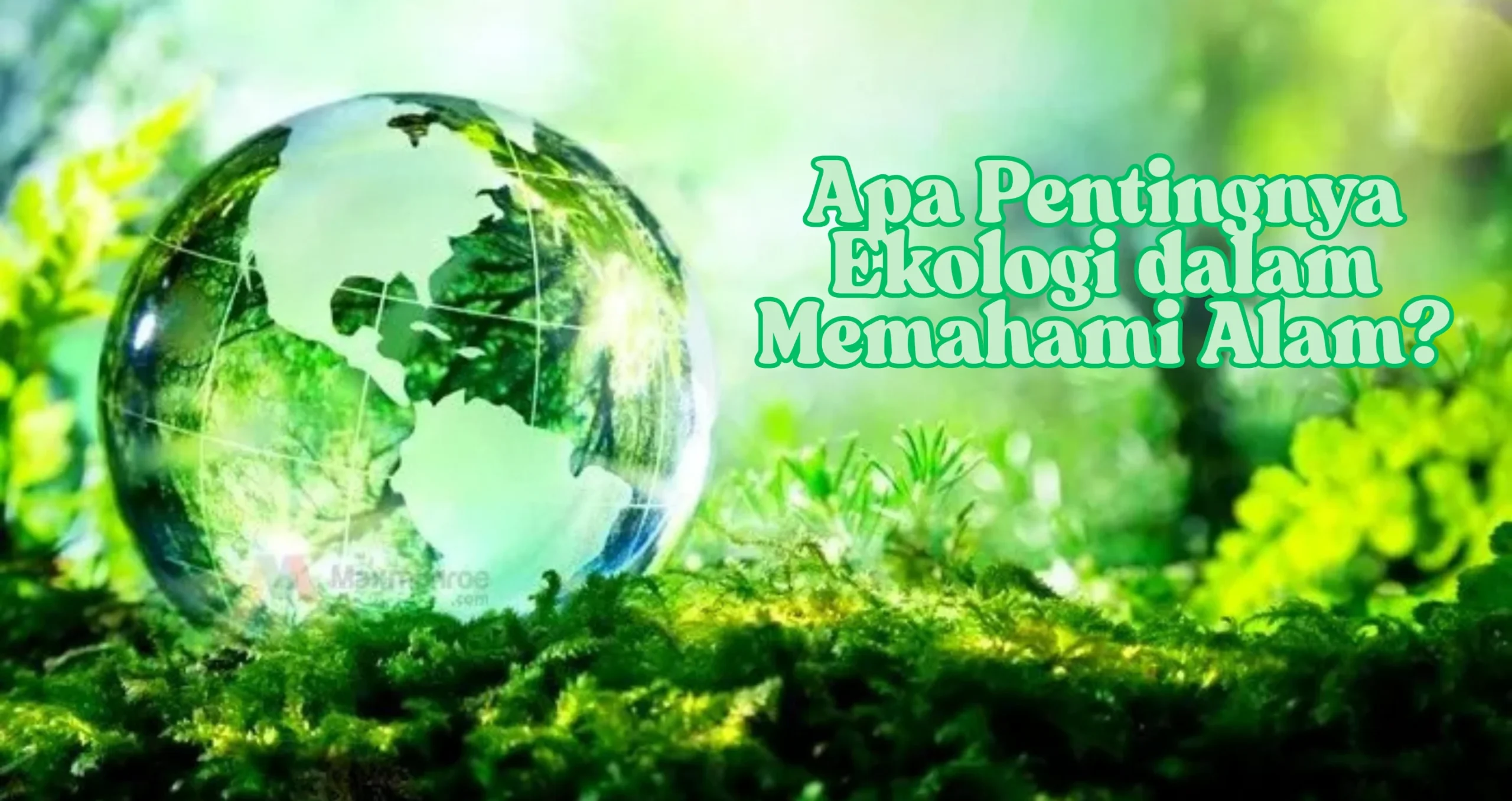 Fadli Zon Tekankan Pentingnya Keseimbangan Alam dan Kelestarian Lingkungan