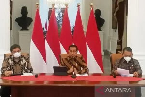 Pemerintah Luncurkan Kebijakan Ekspor Komoditas, Saham ADRO dan PTBA Mendingin