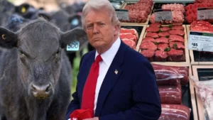 Pemerintah Trump Dilema Dismantle Beef Tariffs Di Tengah Harga Daging Sapi Mencapai Rekor