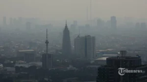 Polutan Udara Berbahaya Mengancam Kesehatan Warga Lima Kota Besar di Indonesia