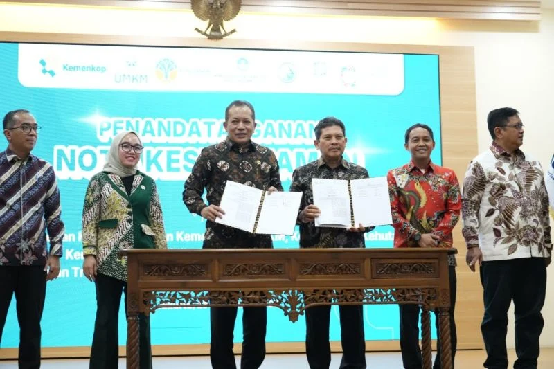 Program JKN dan Pelayanan Kesehatan: Antara Kemajuan dan Tantangan