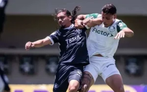 Remo vs Palmeiras: Kontroversi Gol yang Dianulir dan Reaksi Keduabelas Tim