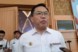 Wakil Kepala Badan Gizi Nasional Sony Sonjaya: Dasbor 'Reviu Menu MBG' Dapat Diakses Publik Mulai Juni 2026