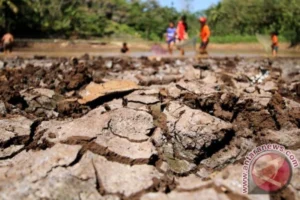 Yogyakarta Siap Menghadapi Musim Kemarau dengan Berbagai Persiapan