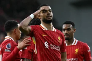 Cody Gakpo dalam Sorotan: Tottenham dan Liverpool Nego, Sementara Belanda Tampil Mengesankan di Piala Dunia