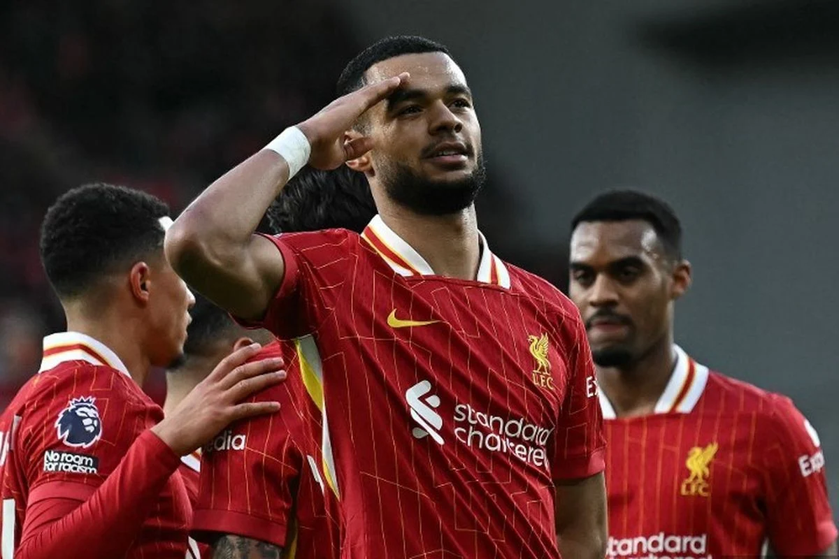 Cody Gakpo dalam Sorotan: Tottenham dan Liverpool Nego, Sementara Belanda Tampil Mengesankan di Piala Dunia
